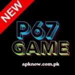 P67 Game