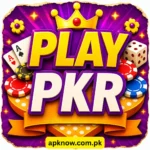 PLAY PKR Game