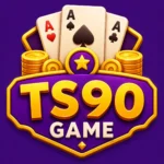 TS90 Game