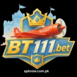 BT111 Game