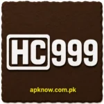 HC999 Game Logo